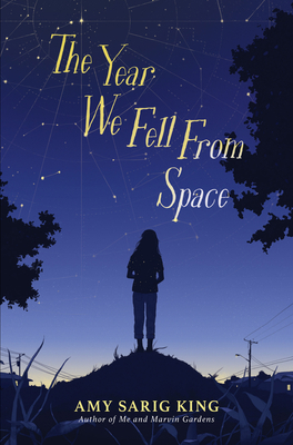 The Year We Fell from Space 1338236369 Book Cover