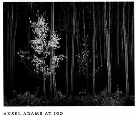 Ansel Adams at 100 0821225154 Book Cover