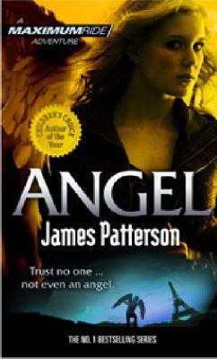 Angel 0099544474 Book Cover