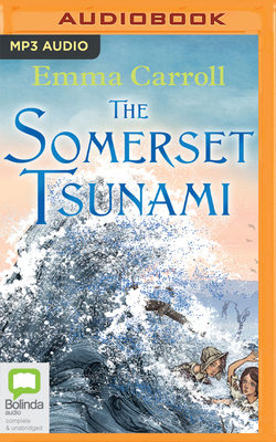 The Somerset Tsunami 0655692347 Book Cover
