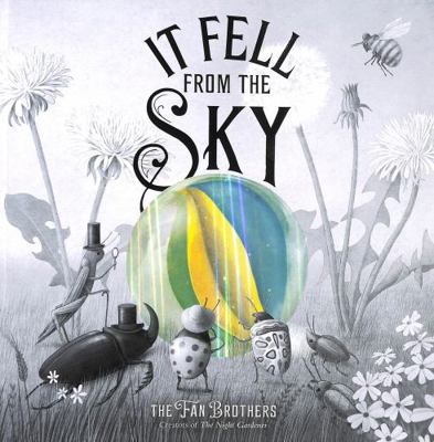 It Fell From The Sky 071127066X Book Cover