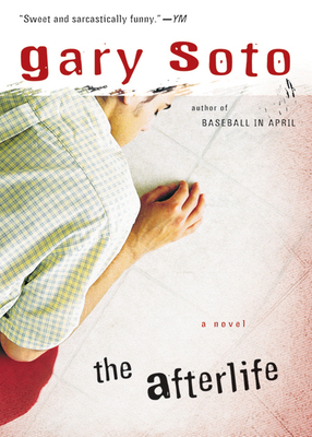 The Afterlife B0099QKHR2 Book Cover