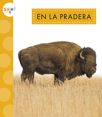 En La Pradera [Spanish] 1645497518 Book Cover