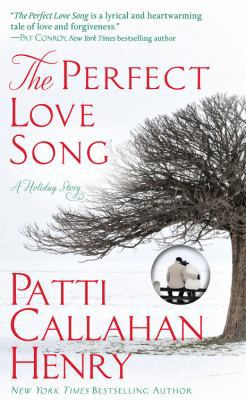 The Perfect Love Song 1593156731 Book Cover