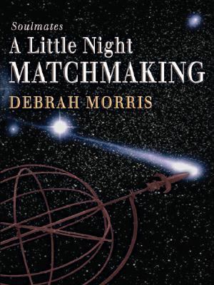 A Little Night Matchmaking [Large Print] 0786279060 Book Cover