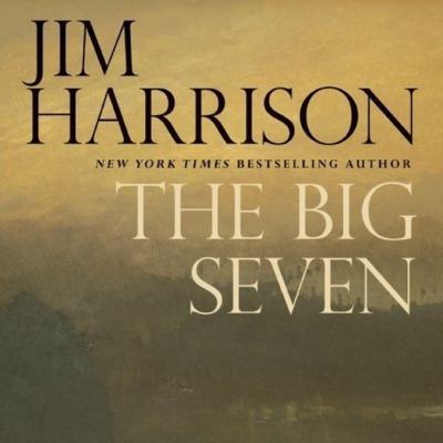 The Big Seven: A Faux Mystery 1481502980 Book Cover