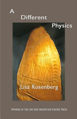 A Different Physics 0998514063 Book Cover