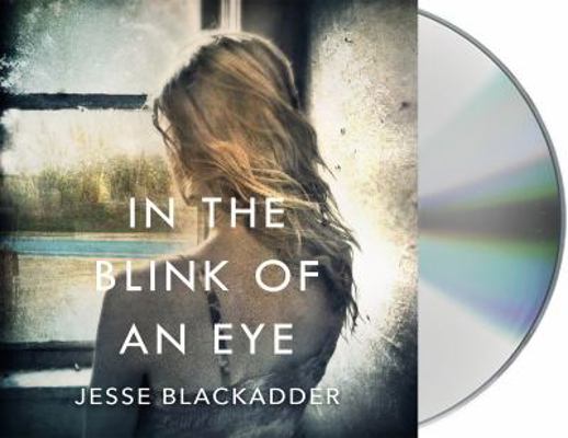 In the Blink of an Eye 125031836X Book Cover