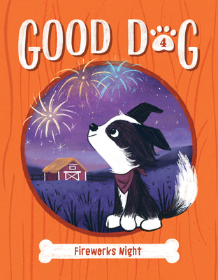 Fireworks Night: #4 1098252055 Book Cover