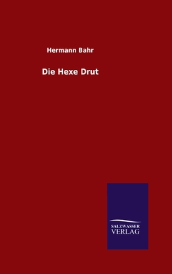 Die Hexe Drut [German] 3846076287 Book Cover