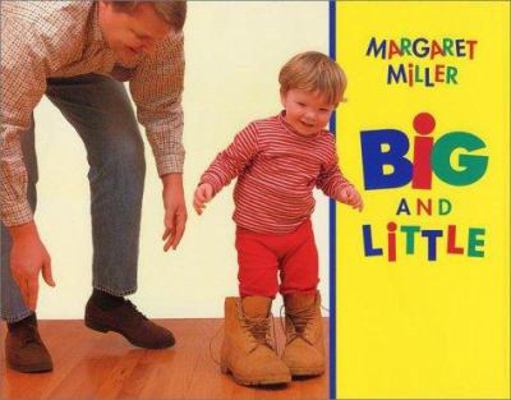 Big and Little 0688147496 Book Cover