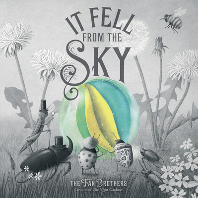It Fell From The Sky 071127066X Book Cover