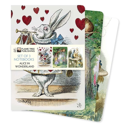 Alice in Wonderland Set of 3 Standard Notebooks 1804176818 Book Cover