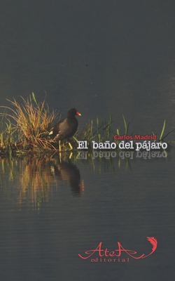 El baño del pájaro [Spanish] 1676536620 Book Cover