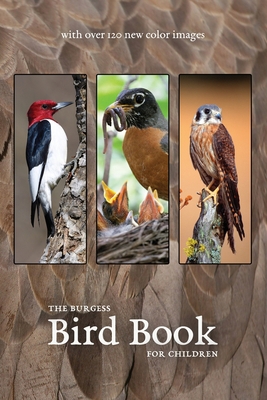 The Burgess Bird Book with new color images 1922634298 Book Cover