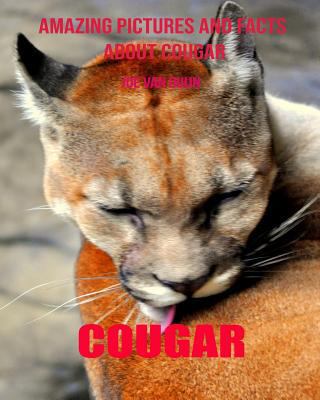 Paperback Cougar : Amazing Pictures and Facts about Cougar Book