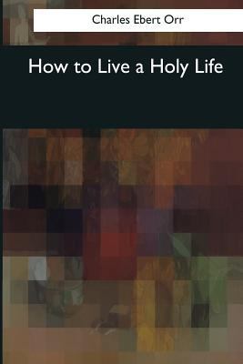 How to Live a Holy Life 1976244293 Book Cover