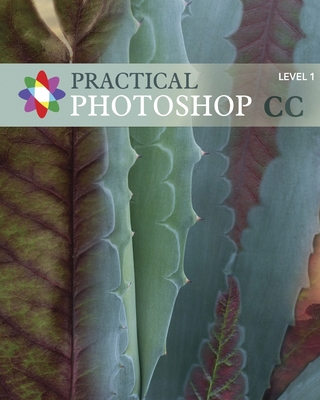 Practical Photoshop CC Level 1: Practical Photo... 1494251264 Book Cover