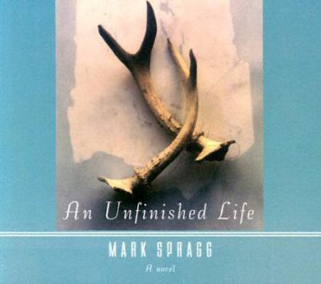 An Unfinished Life 1565119002 Book Cover