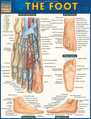 Anatomy of the Foot: A Quickstudy Laminated Ref... 1423224205 Book Cover