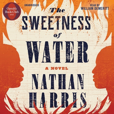 The Sweetness of Water (Oprah's Book Club) 154916404X Book Cover