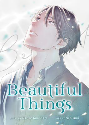 Beautiful Things: The Complete Manga Collection            Book Cover