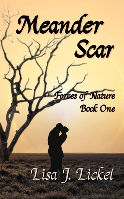Meander Scar B0F9HZ47H3 Book Cover
