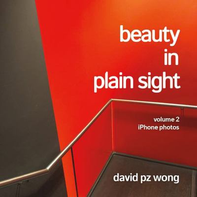 Beauty in Plain Sight : Volume 2: iPhone Photos (2013-2019)