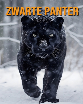 Zwarte Panter: Geweldige Zwarte Panter Feiten &... [Dutch]            Book Cover