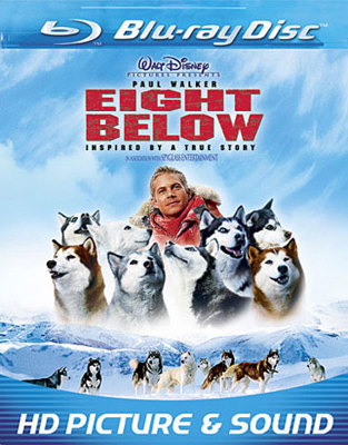 Eight Below B000H7J9LM Book Cover