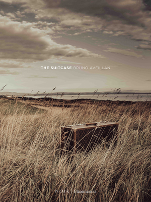 The Suitcase 2080166034 Book Cover