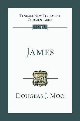 James: An Introduction and Commentary 1844743373 Book Cover