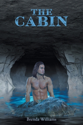 The Cabin 1645449343 Book Cover