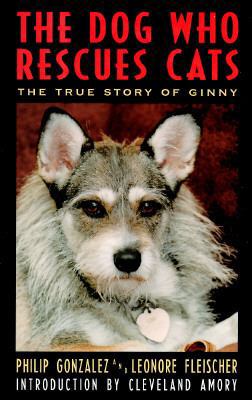 The Dog Who Rescues Cats: The True Story of Ginny 0060172738 Book Cover