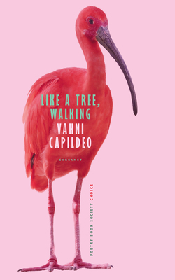 Like a Tree, Walking 1800171951 Book Cover