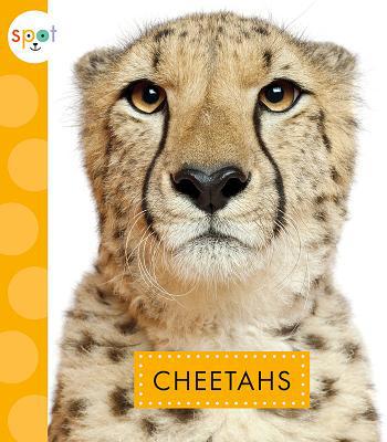 Cheetahs 1681516365 Book Cover