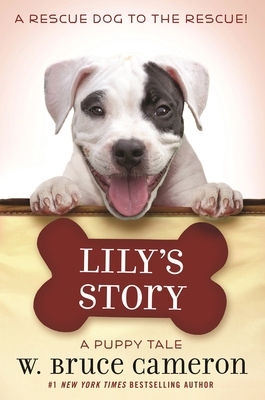 Lily's Story: A Puppy Tale 1250213525 Book Cover