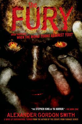 Fury 1250050707 Book Cover