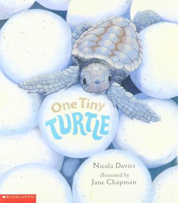 One Tiny Turtle 0439429838 Book Cover