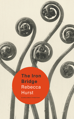 The Iron Bridge 1800173946 Book Cover