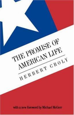 The Promise of American Life: Imprisonment in t... 1555530621 Book Cover