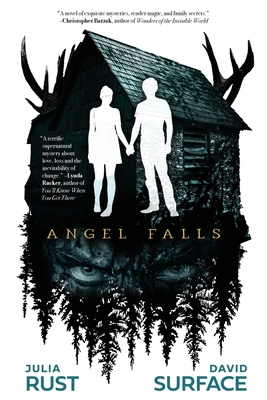 Angel Falls 1949140342 Book Cover