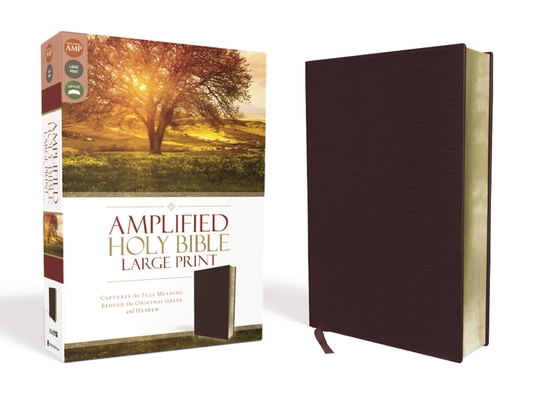 Amplified Bible-Am-Large Print: Captures the Fu... [Large Print] 0310444055 Book Cover