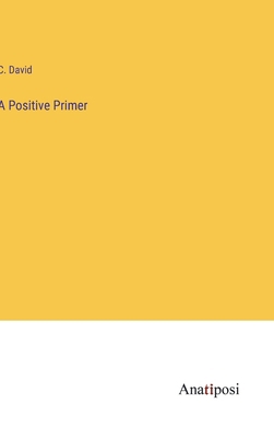 A Positive Primer 3382111950 Book Cover