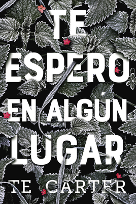Te Espero En Algún Lugar [Spanish] 9876097245 Book Cover