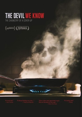 The Devil We Know            Book Cover