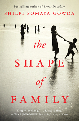 The Shape of Family 0062933221 Book Cover