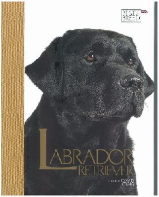 Labrador Retriever 1906305056 Book Cover