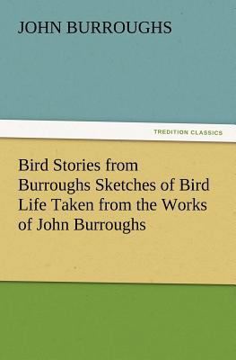 Bird Stories from Burroughs Sketches of Bird Li... 3847216775 Book Cover