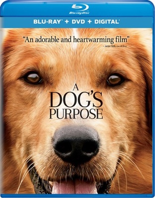 A Dog's Purpose B01N37D6XC Book Cover